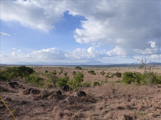 The savannah of Kidepo National park looking towards Sudan.