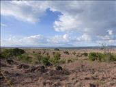The savannah of Kidepo National park looking towards Sudan.: by steve_and_emma, Views[757]