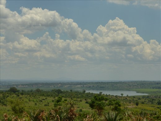 Looking over the Nile from Pakuba Lodge.