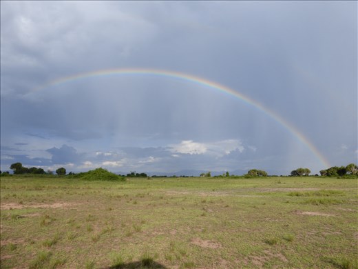 Rainbow over the plains of QENP.