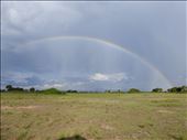 Rainbow over the plains of QENP.: by steve_and_emma, Views[285]