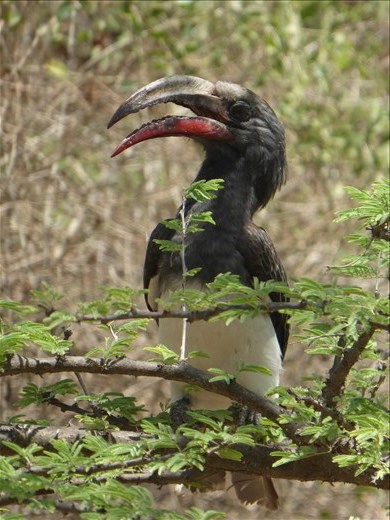 The birdlife was incredible and we counted about 50 species over the weekend.
