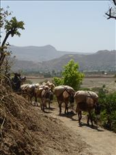 Chat caravan.: by steve_and_emma, Views[202]