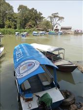 City continue their world domination.: by steve_and_emma, Views[287]