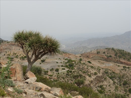 Stunning scenery on the drive to the Danakil.