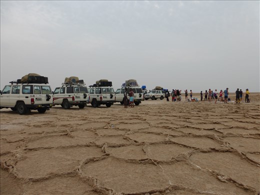 We were not the only ones on the trip!