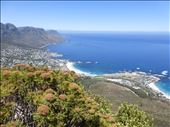 View on the way up Lion's Head.: by steve_and_emma, Views[202]
