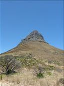 Lion's Head.: by steve_and_emma, Views[216]