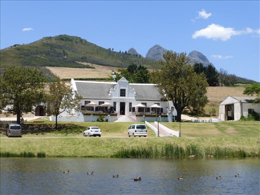 Lievland Wine Estate near Stellenbosch.