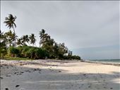 Diani Beach.: by steve_and_emma, Views[212]