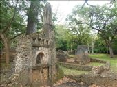 Gede Ruins near Watamu.: by steve_and_emma, Views[231]