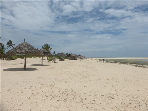 Beach north of Watamu.