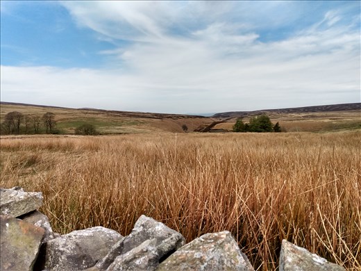 Axe Edge Moor