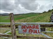 Good advice.: by steve_and_emma, Views[220]