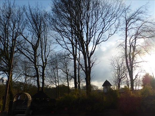 No leaves on the trees when we arrived in March.