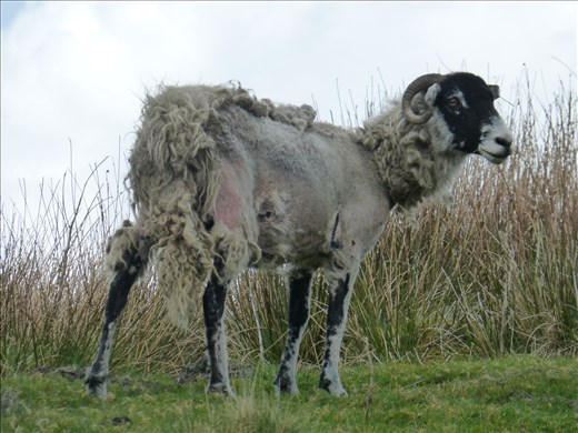 Lock down hair was an issue for some.
