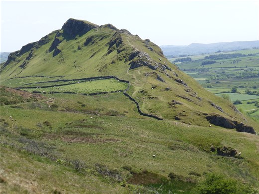 Chrome Hill.