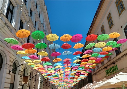 Colourful brollies on a lane off Piata Victoriei.