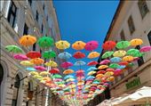 Colourful brollies on a lane off Piata Victoriei.: by steve_and_emma, Views[449]