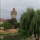 The Bega River ( or really canal) is lined with weeping willow trees. Views[325]