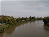 River Mures flows through Arad.: by steve_and_emma, Views[171]