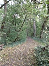 Padurea Verde (Green Forest) is a pleasant place for a walk on the edge of Timisoara.: by steve_and_emma, Views[232]