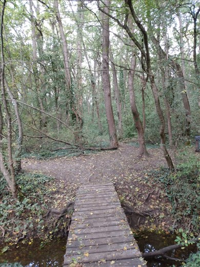 There seem to be lots of trials but no map so no idea how far you can hike.