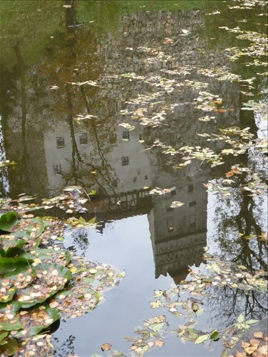 Reflecting on our day trip to Bran.