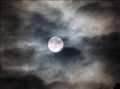 Quite fitting to end our Transylvania journey with a full moon on Halloween.: by steve_and_emma, Views[279]