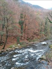 by steve_and_emma, Views[257]