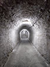 The Franz Jospeh Gallery, need to put up a few more pictures.: by steve_and_emma, Views[192]