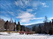 by steve_and_emma, Views[111]