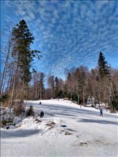 Cota 1400 ski slope in Sinaia.: by steve_and_emma, Views[133]