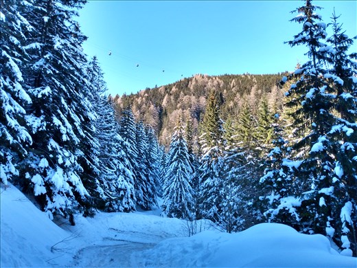 Up in the mountains around Sinaia.