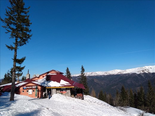 A nice spot for lunch.