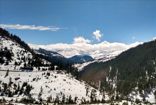The bus journey over Prislop pass was stunning.