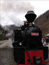 Mocanita Narrow Gage railway: by steve_and_emma, Views[250]