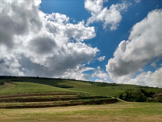 Paulis is set among beautiful scenery.