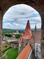 by steve_and_emma, Views[230]