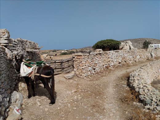 Donkey track heading out of Chora.