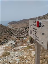 The hiking trails are well marked.: by steve_and_emma, Views[223]