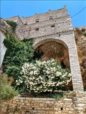 by steve_and_emma, Views[194]