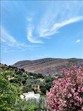 by steve_and_emma, Views[217]