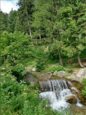 by steve_and_emma, Views[219]