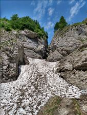 by steve_and_emma, Views[220]