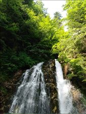 the hike to Uriatoarea waterfall near Busteni.: by steve_and_emma, Views[662]