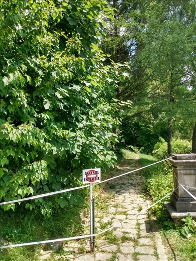 Coming in the back down at Peles castle.