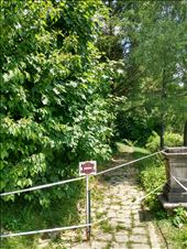 Coming in the back down at Peles castle.: by steve_and_emma, Views[377]