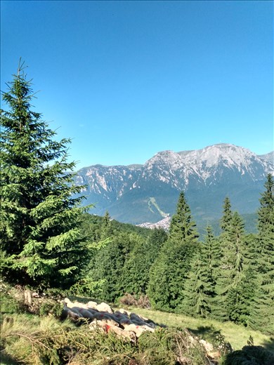 The view as we climbed out of the forest.