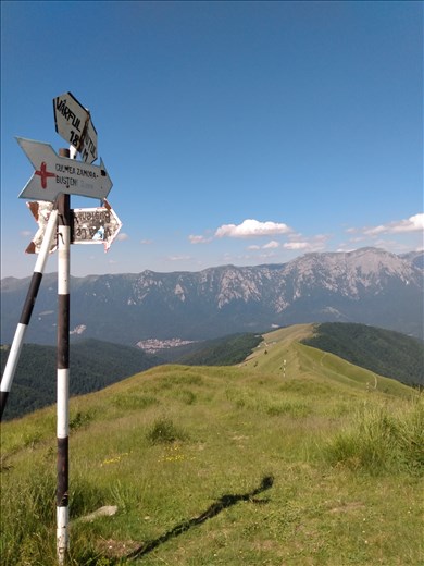 The way down to Busteni.